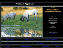 Tablet Screenshot of ctranchappaloosas.com
